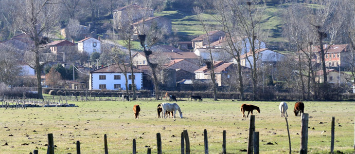 Los lobos devoran a un burro en Villaescusa