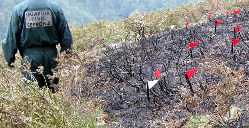 Localizado el presunto autor de un incendio forestal con 117 focos de inicio en Alisas