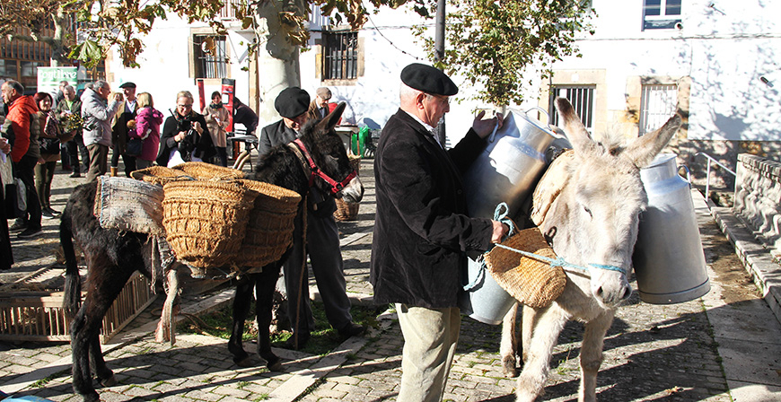 Los lunes de antao en Reinosa