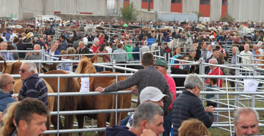 El lunes se abre el plazo de inscripcin para la Feria de Ganado de San Mateo 