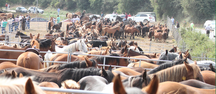 Maana de feria en Espinilla
