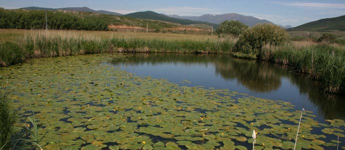 En marcha un proyecto para rehabilitar el ro Camesa a su paso por Mataporquera