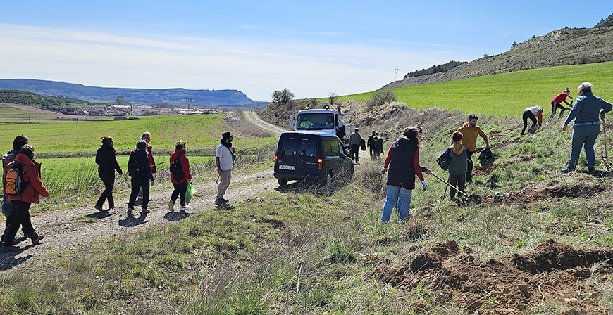 Ms de 150 voluntarios participan en el Da del rbol en Aguilar de Campoo