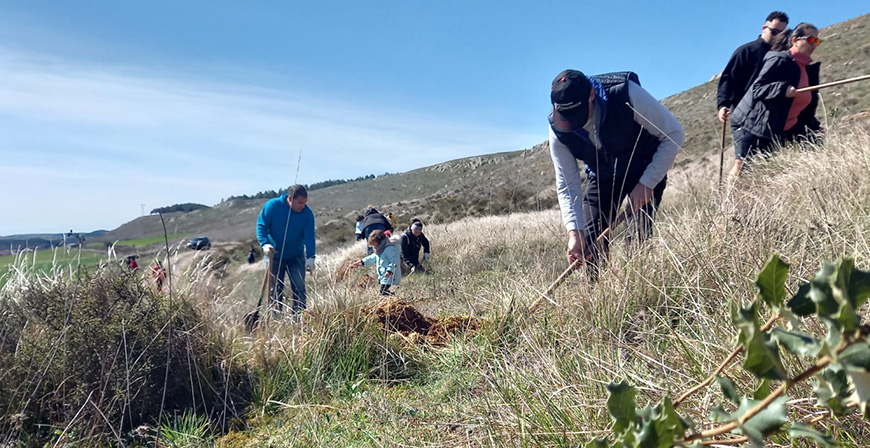 Ms de 150 voluntarios participan en el Da del rbol en Aguilar de Campoo