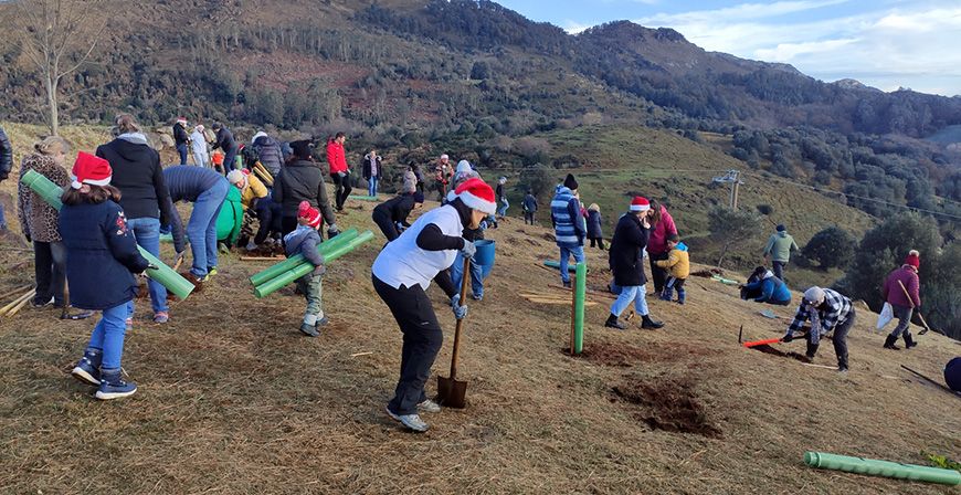 M�s de 300 voluntarios plantan 1.300 �rboles aut�ctonos en Cab�rceno