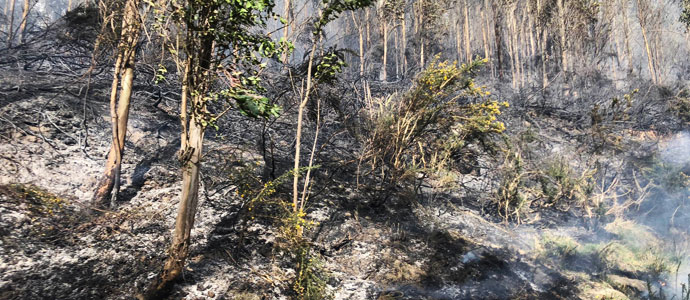 Ms de 6.000 hectreas ardieron en Cantabria en febrero