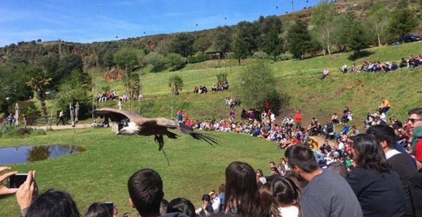 Ms de 67.000 personas han visitado Cabrceno, Fuente D y El Soplao esta Semana Santa