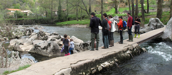 La mayora de los ros de la regin presenta un buen estado ecolgico
