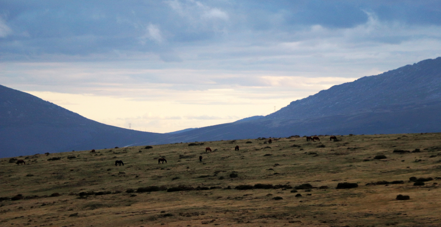 Medio Ambiente convoca ayudas para mejorar el aprovechamiento sostenible de los montes de Cantabria