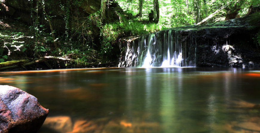 Medio Ambiente organiza un curso sobre los 20 aos de la educacin ambiental en Cantabria