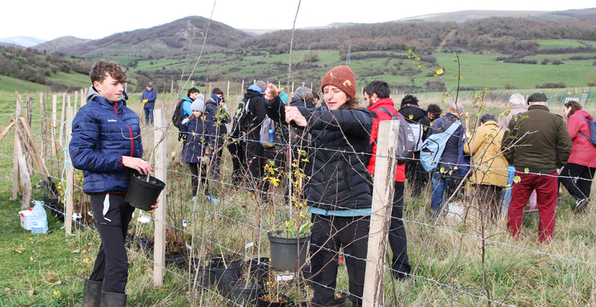Voluntarios plantan unos 240 rboles en el entorno de Las Sanguijuelas