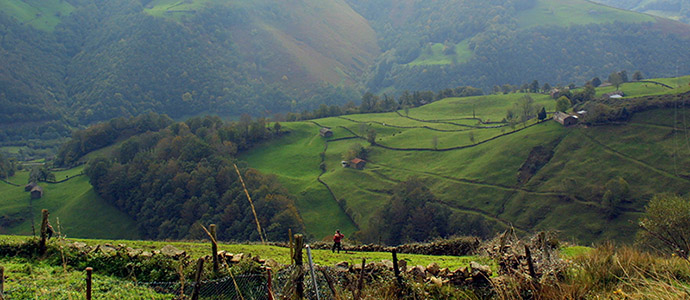 Medio Rural abona 8,4 millones de euros en ayudas del Programa de Desarrollo Rural 2014-2020