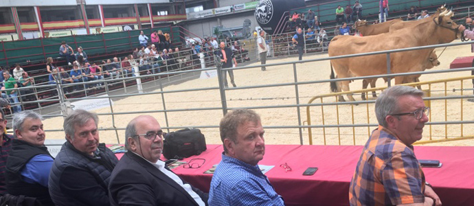 Medio Rural apoya el trabajo de los criadores de razas bovinas crnicas