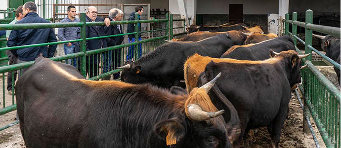 Medio Rural convoca ayudas a las asociaciones de ganaderos para fomentar razas autctonas