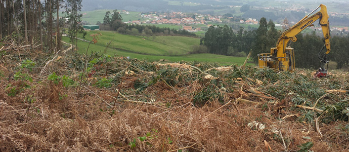 Medio Rural convoca ayudas a la recogida de biomasa residual por un importe de 775.000 euros