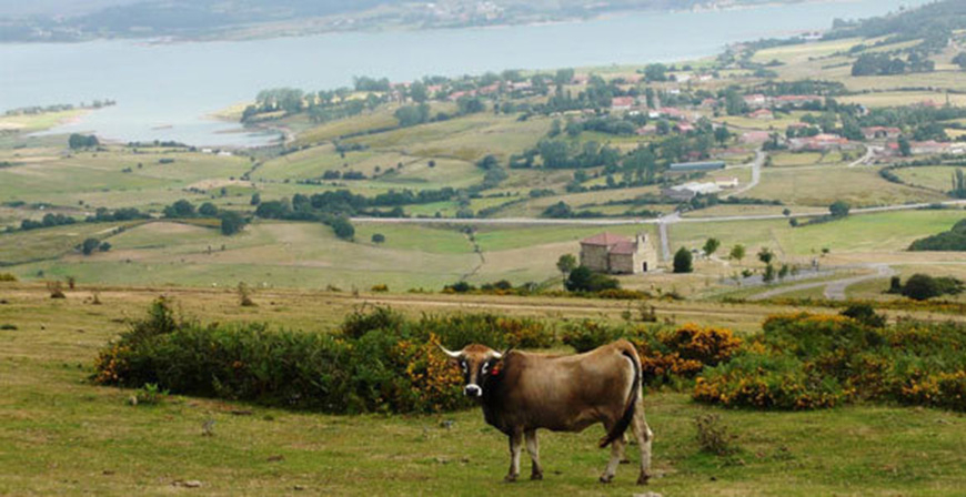 Medio Rural destina ms de 1,1 millones de euros para obras e infraestructuras agrarias en 39 municipios 