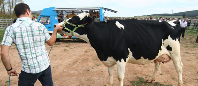 Medio Rural hace efectiva la ayuda compensatoria al sector productor de leche de Cantabria