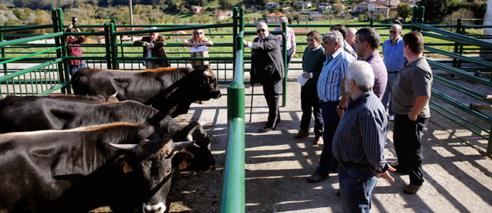 Medio Rural inicia el pago de 1,8 millones correspondiente a la ayuda a las razas locales amenazadas