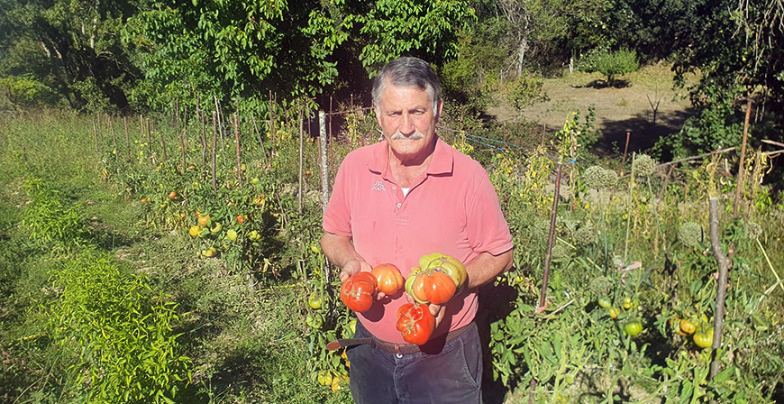 El Mejor tomate valluco de 2022 es el de Michel