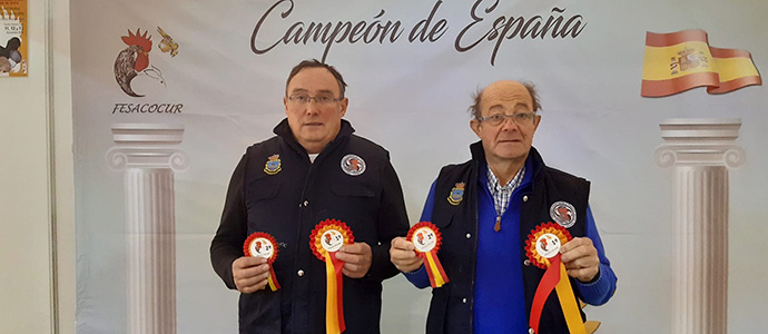 Las mejores gallinas pedresas de Espaa son las de Miguel y Felipe