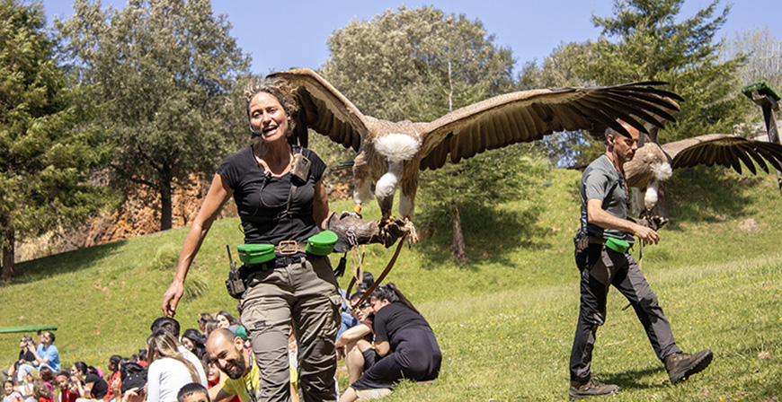 Los menores de 12 a�os que acudan disfrazados a Cab�rceno del 16 al 20 de febrero podr�n entrar gratis 