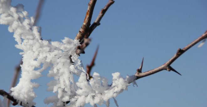 El mercurio se desploma en Nestares hasta los -7,7C, la segunda temperatura ms baja de Espaa