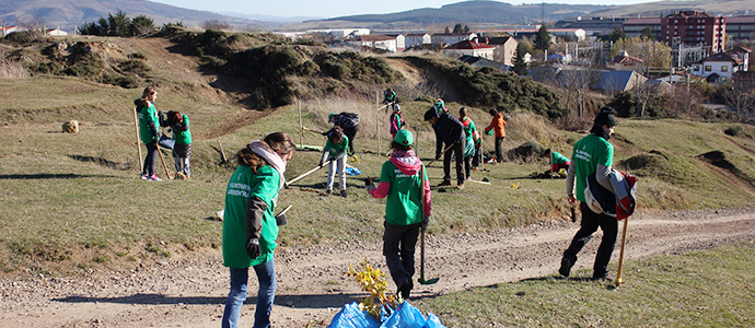 El microbosque de Las Tradas aumentar este domingo