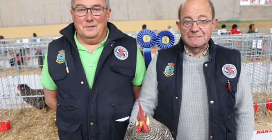 Miguel Herrero gana con sus gallinas pedresas el monogrfico del VI Concurso de Avicultura de Albelda de Iregua 