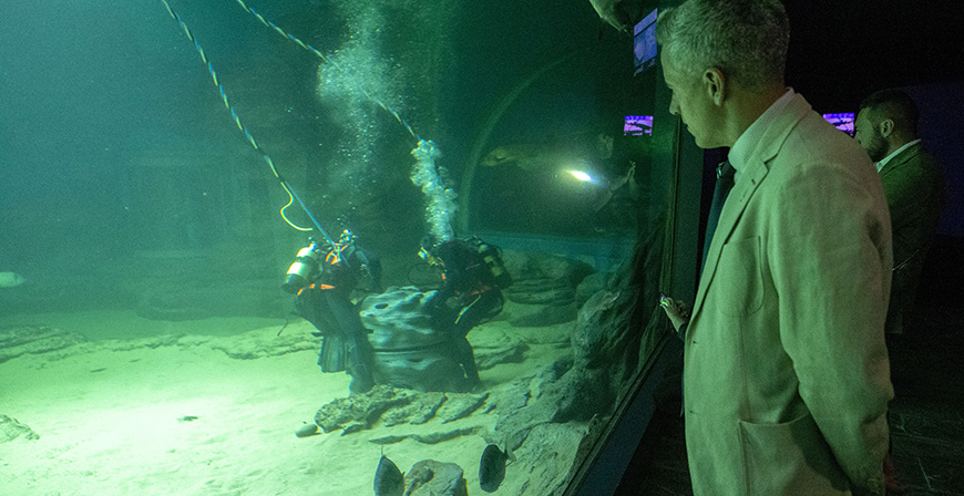 El MMC exhibe dos arrecifes artificiales creados por investigadores de la UC para paliar la prdida de biodiversidad en el fondo marino