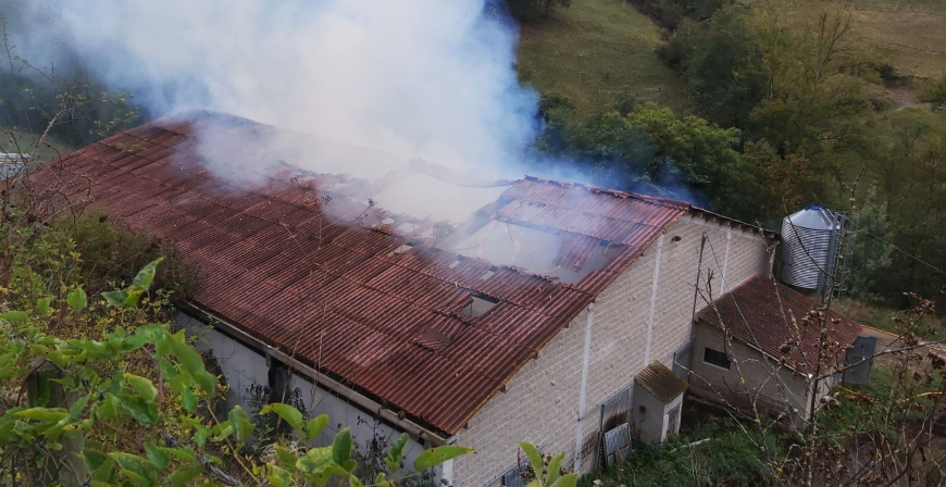 Mueren 25 animales en el incendio de una nave ganadera en Vega de Libana