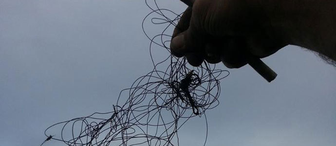 Mueren dos esptulas enredadas en aparejos de pesca