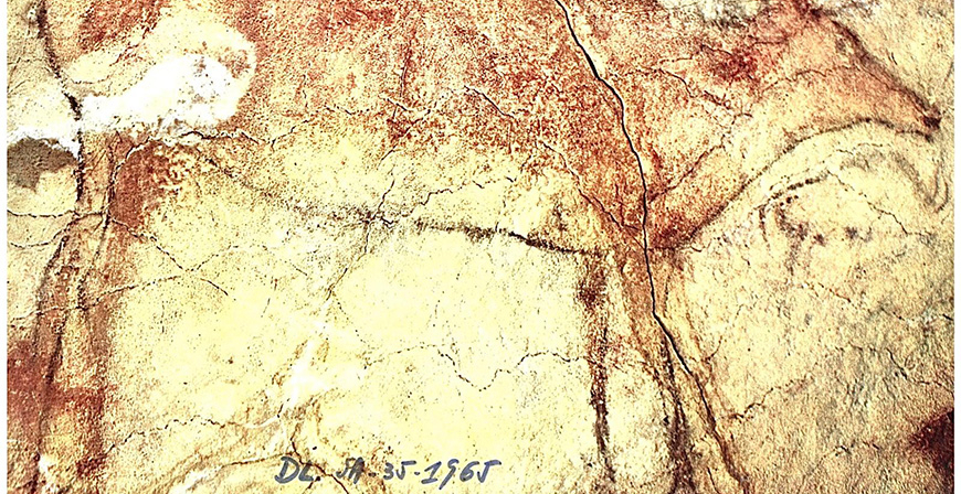 El Museo de Altamira revindica el papel del fot�grafo Francisco Santamatilde en la conservaci�n de la cueva de Altamira