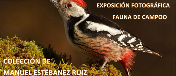 La naturaleza campurriana de Manuel Estbanez recala en La Poblacin