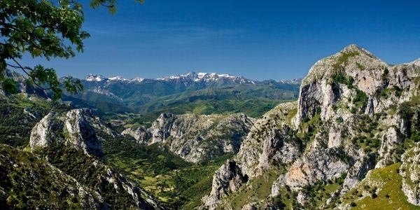 Naturea supera los 72.000 usuarios en los 8 primeros meses del ao