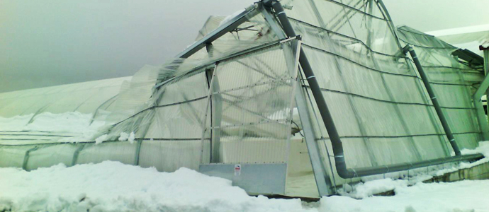 La nieve daa las instalaciones para el cultivo de lechugas hidropnicas