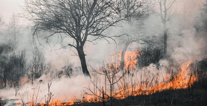 No hay incendios forestales activos en Cantabria y los efectivos realizan labores preventivas y de extincin en Len y Palencia