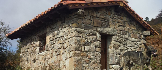Una nueva vida para la primera cabaa de pastores de Campoo de Yuso
