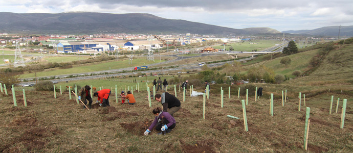 El nuevo bosque de Matamorosa