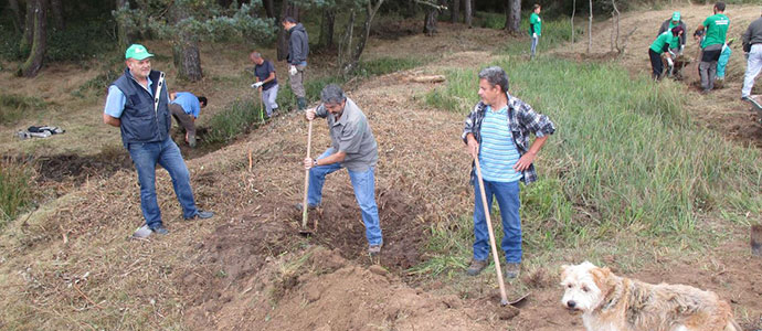 Oasis contra incendios forestales