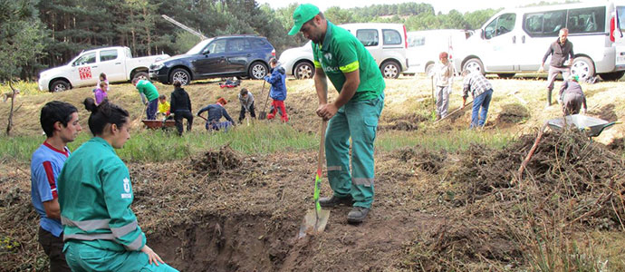 Oasis contra incendios forestales