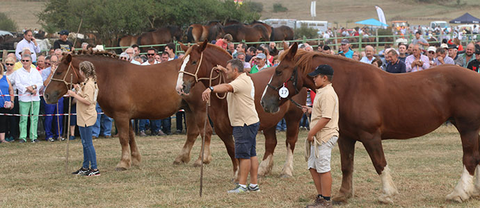 Oria asiste a la Feria ganadera de San Mateo