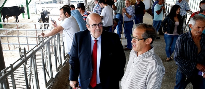 Oria destaca el esfuerzo de Cantabria en la mejora de la raza tudanca