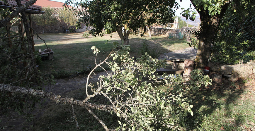 Un oso irrumpe dos noches seguidas en la finca de una vivienda en Mazandrero para comer frutas