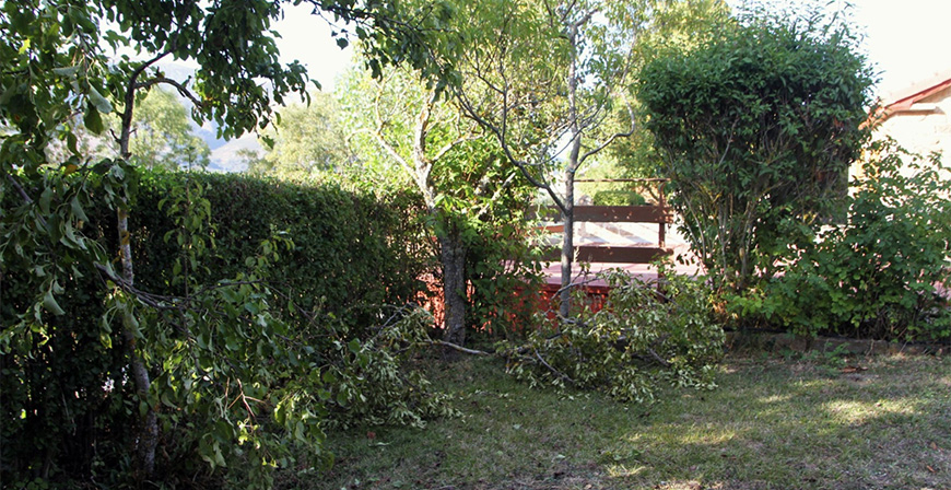 Un oso irrumpe dos noches seguidas en la finca de una vivienda en Mazandrero para comer frutas
