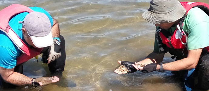El Pantano del Ebro sigue libre de ejemplares adultos de mejilln cebra