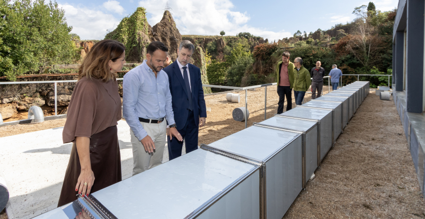 El Parque de la Naturaleza de Cabrceno renueva el sistema de climatizacin de la Casa de los Gorilas para garantizar el confort trmico de los primates