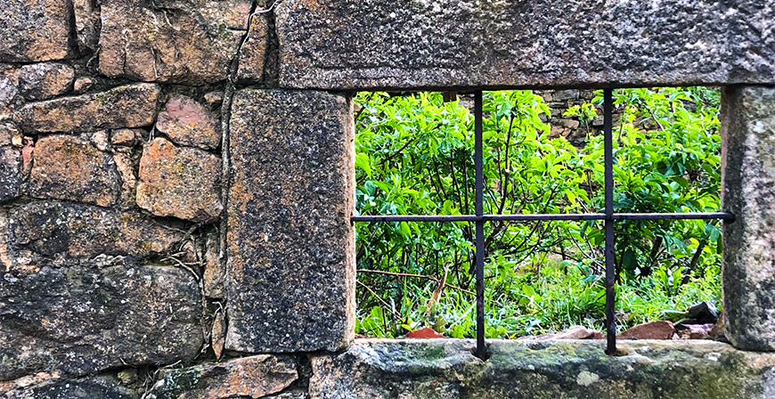 De pasiones y desengaos rurales