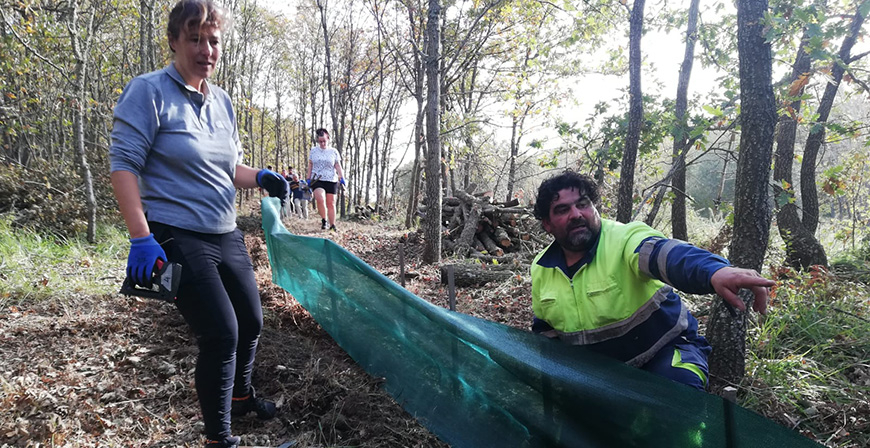 Un paso subterrneo para evitar el atropello de pequea fauna en Orzales