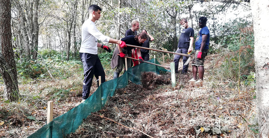 Un paso subterrneo para evitar el atropello de pequea fauna en Orzales
