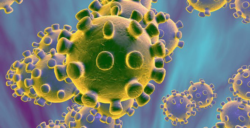 PCR y test rpidos para el diagnstico del coronavirus cmo funcionan y en qu se diferencian?